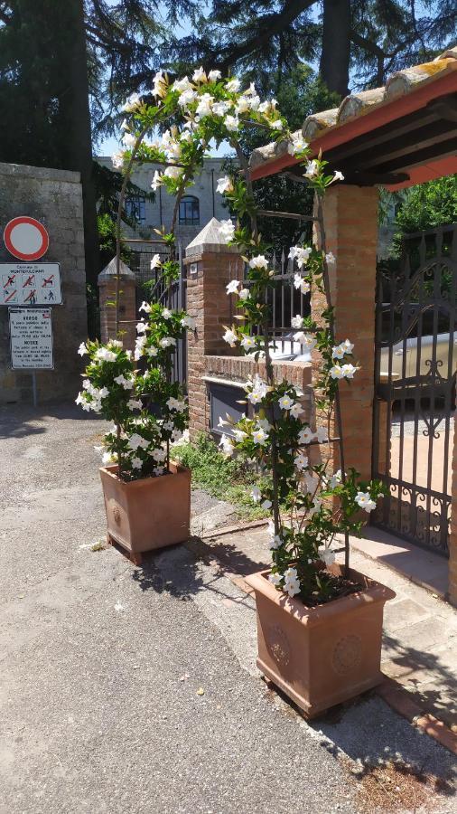 Montepulciano Stazione 일 자르디노 델라 포르테짜 아파트 외부 사진